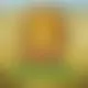 Zagraj Mega Moolah z Games Global w {"id":92,"name":"BruceBet","design":{"logo":"brucebet-logo-TYdwan.svg","favicon":"brucebet-favicon-doleYu.png","banner_poker":"brucebet-poker-lOqCIr.webp","banner_mobile":"brucebet-mobile-3jP8Zw.webp","block_bg_color":"#18181B","image_bg_color":"#333","banner_bg_color":"#18181b","block_text_color":"#ffffff","primary_bg_color":"#030712","banner_text_color":"#fff","footer_logos_type":"white","block_round_radius":"0.5rem","primary_text_color":"#ffffff","button_round_radius":"0.5rem","banner_welcome_bonus":"brucebet-welcome-bonus-TvC2JF.webp","primary_button_bg_color":"#dc2626","primary_button_text_color":"#fff","secondary_button_bg_color":"#f8fafc","secondary_button_text_color":"#18181B"},"created_at":"2025-05-20T21:19:49.000000Z","updated_at":"2025-05-20T21:27:08.000000Z","deleted_at":null}